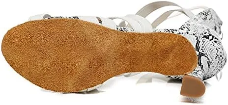 DKZSYIM Women Zipper Ballroom Dance Shoes Latin Salsa Practice Dancer Shoes 3.35'' Heels,Model YCL442